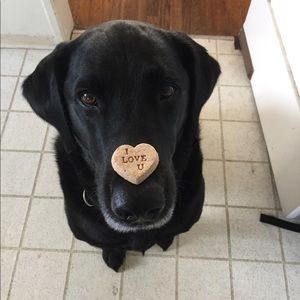 Meet your Posher, Meredith